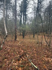 Deer Run Ln, Jay, NY, 12941