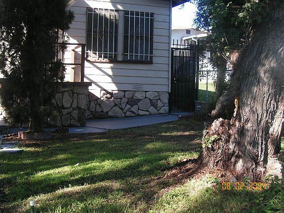 Trees in front and side yard