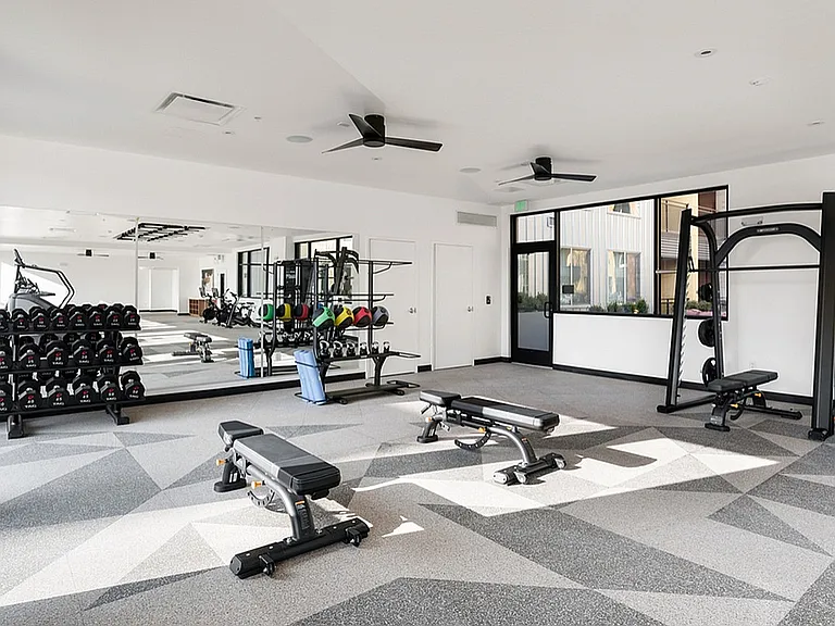 Cardio Machines and Free Weights