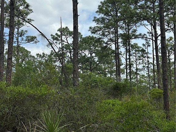 3rd image of 11647 W Cockscomb Dr