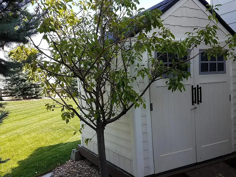 6487 Turnstone Ave — Photo 26