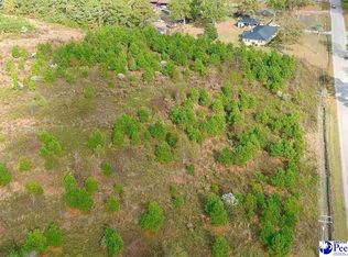 Wire Rd, Darlington, SC 29532