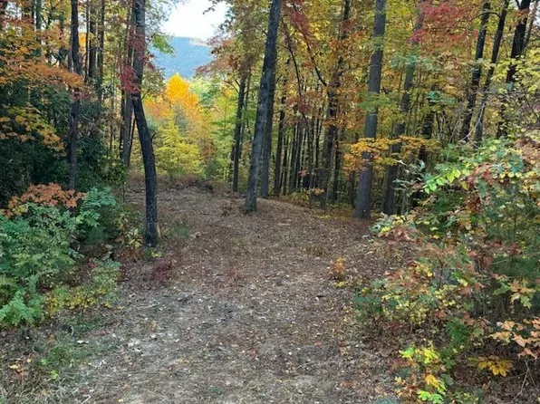 Birch Ln #32, Rosman, NC 28772