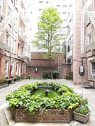 Rented by Sky Management