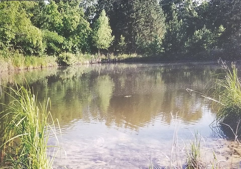 Pond
