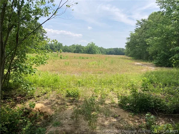 14 Mill Branch Rd, Fairmont, NC 28340