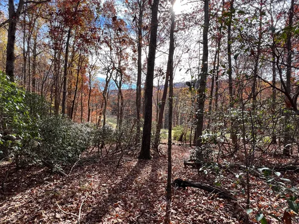 782 Fairway Ct, Jasper, GA 30143