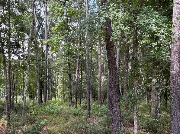 9570 Longmire Oaks Dr Lot 12, Conroe, TX 77304