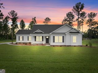 22154 Salem Church Rd, Metter, GA 30439