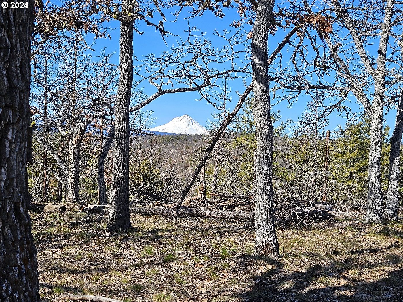 0 S View Ct 26, Dufur, OR 97021 MLS 24043773 Zillow