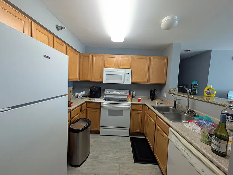 345 N Lasalle St #1805 — Photo 13