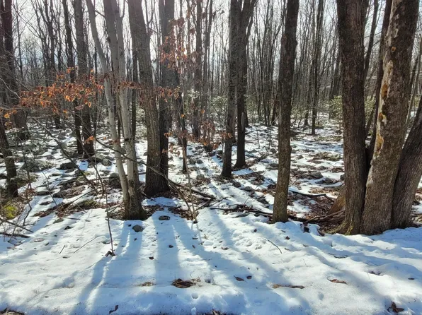 4 Tioga Dr, Kunkletown, PA 18058