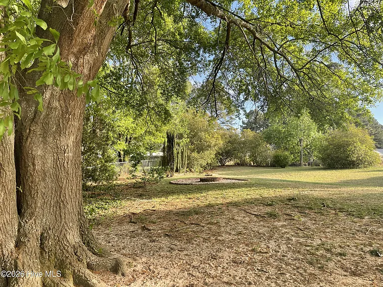 47 Forestdale Dr — Photo 12