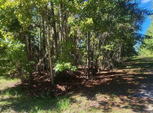 Helen Ave, Georgetown, FL 32139