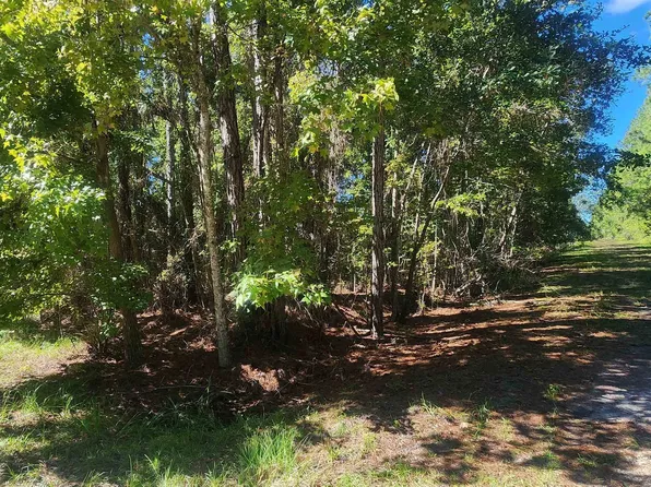 Helen Ave, Georgetown, FL 32139