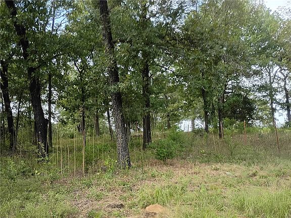 4th image of Tba Turnbow Ln Lot 3