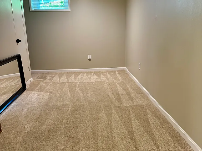 Large Basement (walk-out)