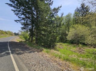 0 Lost Valley Road, Boistfort, WA 98532
