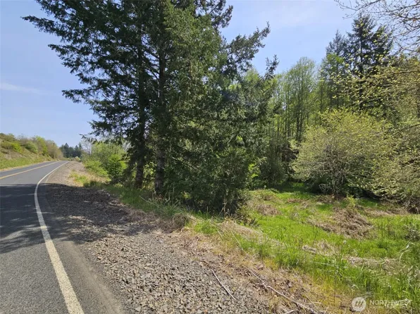 0 Lost Valley Road, Boistfort, WA 98532
