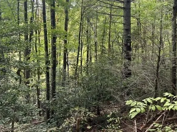 389 Faith Mountain Way, Hartford, TN 37753