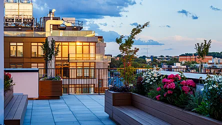 Rented by Nooklyn NYC LLC