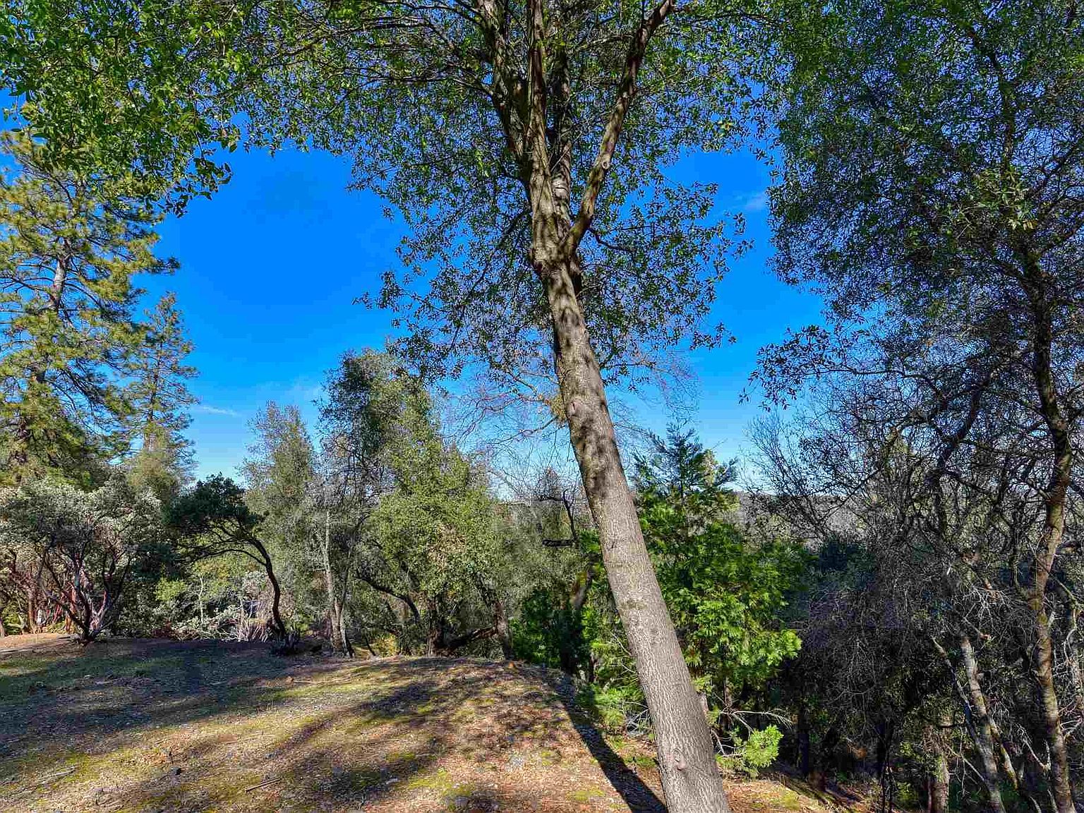 12873 Mueller Dr Groveland Ca 95321 Mls 20210232 Zillow