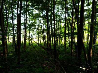 HWY 114, Sherwood, WI, 54169