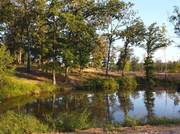 TRACT 4 Grans Way, Story, AR 71970
