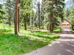 63 Timber Ln, Evergreen, CO 80439