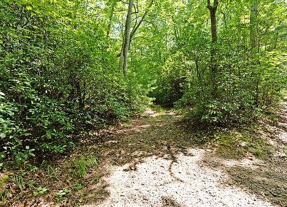 3rd image of 13+AC Shelynda Ln