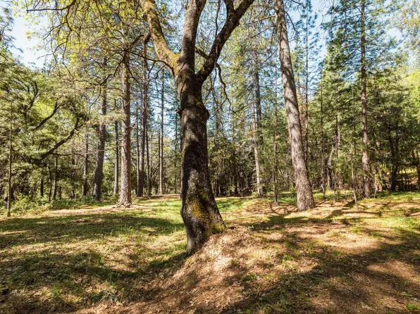 14737 Big Hill Rd, Sonora, CA 95370