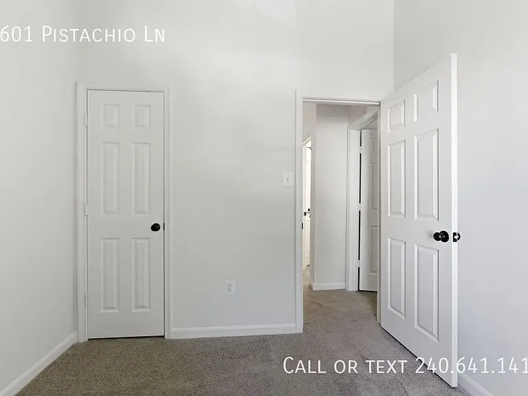 4601 Pistachio Ln — Photo 15