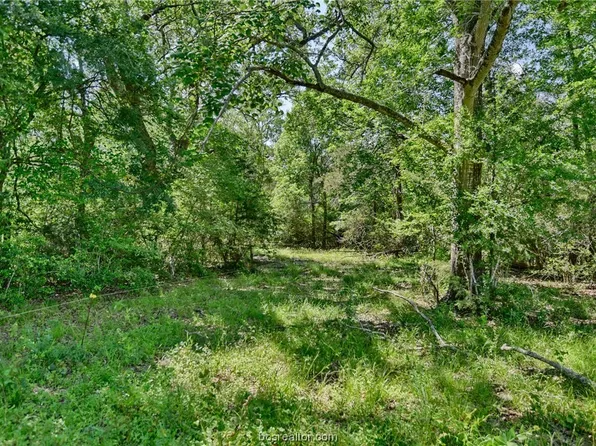 14129 Sandtown Rd, Carmine, TX 78932