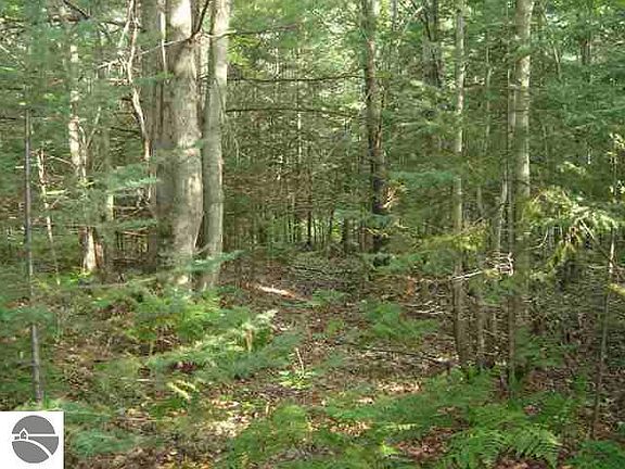 5th image of 0 Lutz Rd