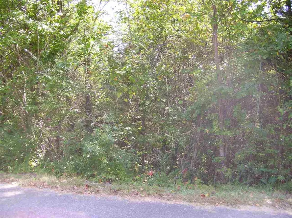 Young Ln, Decatur, TN 37322