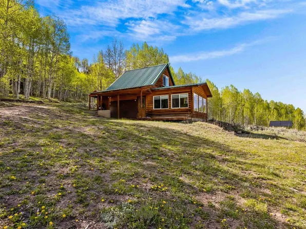 1901 Armitage Springs Road, Powderhorn, CO 81243