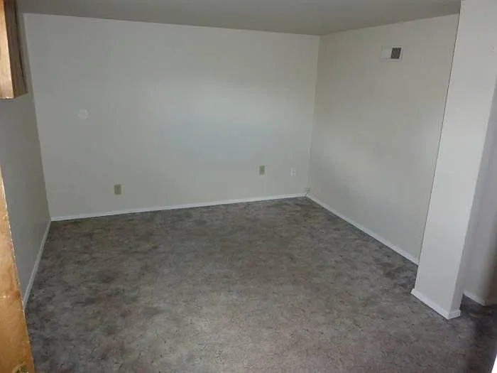 Bonus Room in Basement
