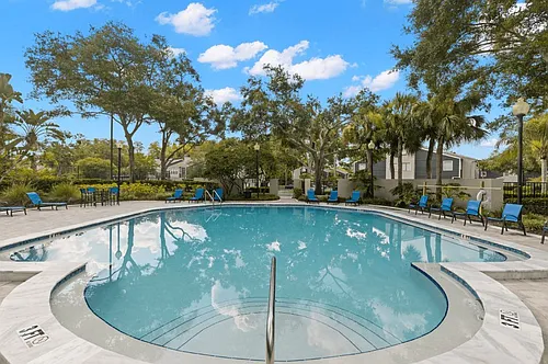 The Pointe at Carrollwood Photo 1