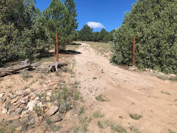 45 Dead Log Ln, Cotopaxi, CO 81223