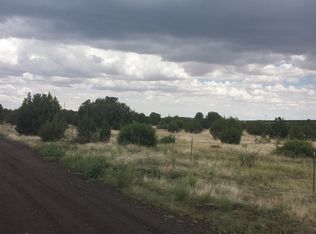 Lot 3 Elk Shadows, Vernon, AZ 85940