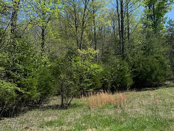 4th image of 15 Walnut Bend Dr
