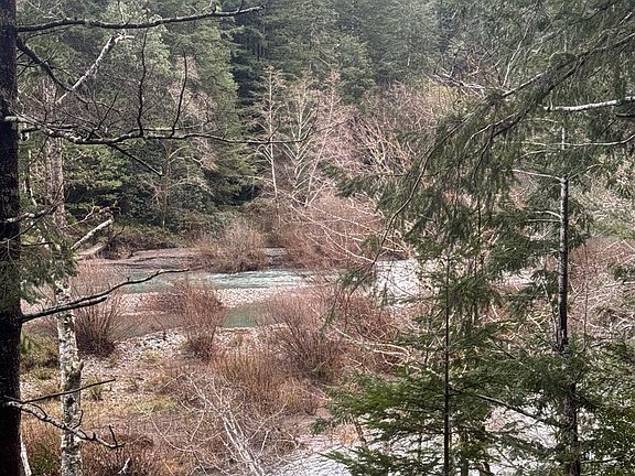 3rd image of 41574 Swinging Bridge Ln