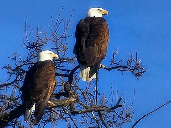 2nd image of 0 Interlake Rd