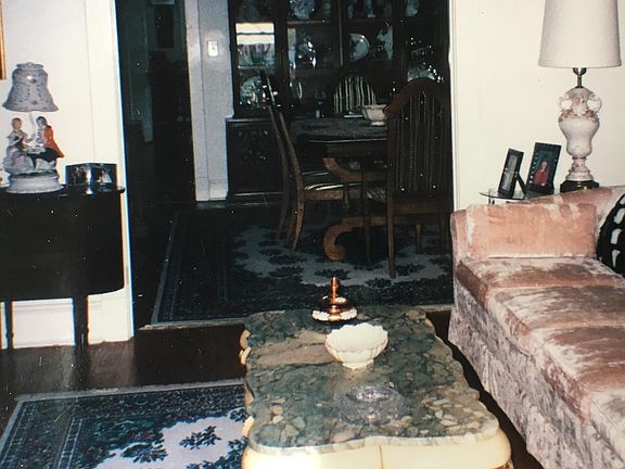 Downstairs Duplex Living Room looking into Dining Room
