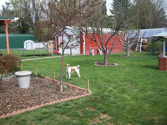 nice yard