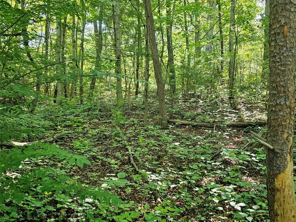 99999 Campground Rd, Asheville City, NC 28805