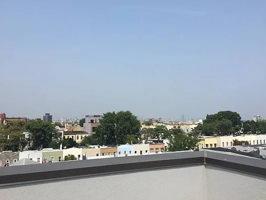 Rented by P Management | media 31