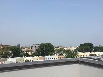 Rented by P Management