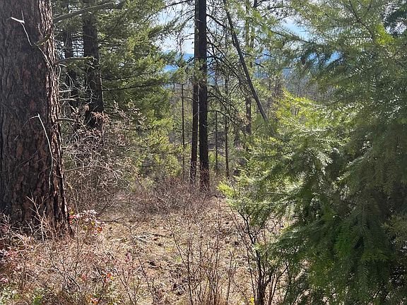 4th image of Nka Orin Rice Rd