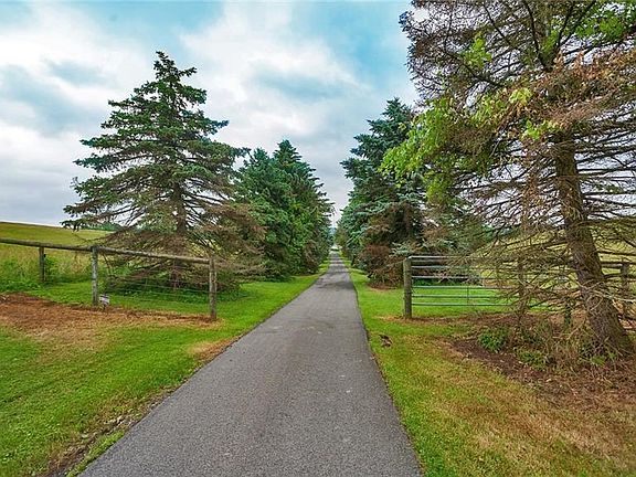 Long private drive leading you to 276 Zias Rd